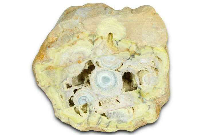Clay Canyon Crandallite and Wardite - Old Collection Stock #362004